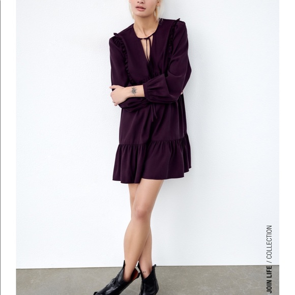 Zara Pleated Dress - Picture 6 of 10